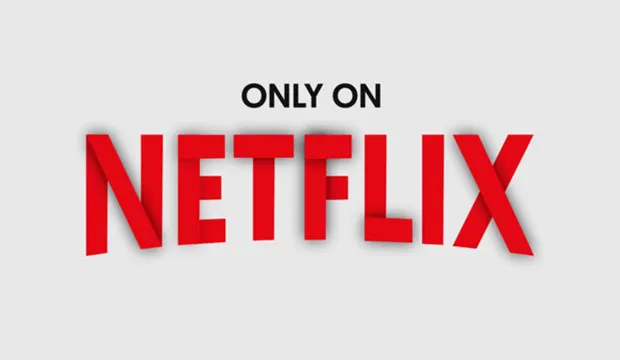 Compania Netflix a suferit o scadere de 46% pe bursa