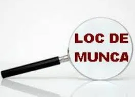 Sondaj incurajator: In ultimul trimestru se vor inmultii ofertele de munca pentru tineri