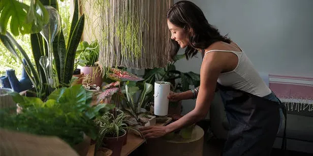 Beneficiile nebănuite ale plantelor de apartament asupra femeilor