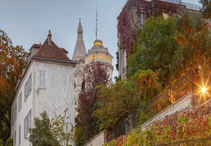 Podgoriile ascunse ale Parisului produc vin doar pentru locuitori