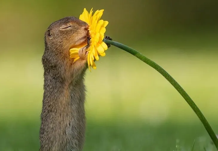 TOP 2019: 10 dintre cele mai bune fotografii senine din întreaga lume