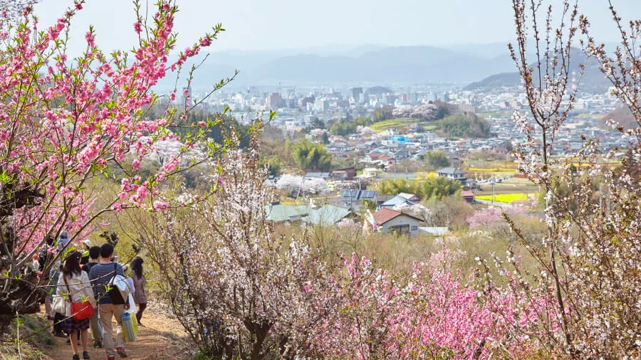 Fukushima este din nou pregătită să primească turiști