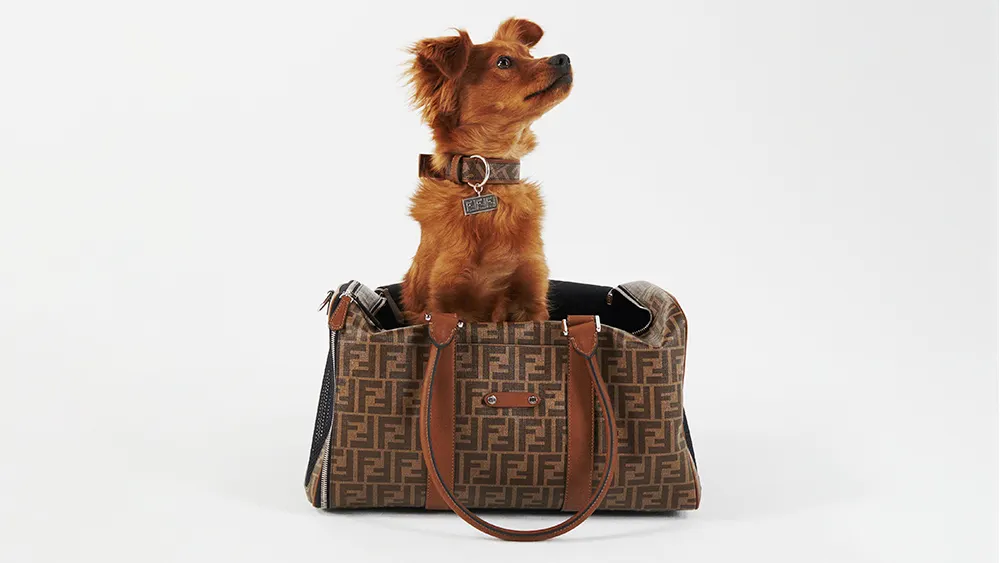 Fendi ca animalul tău de companie să călătorească cu stil