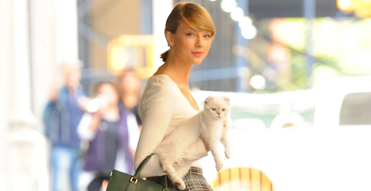 Pisica lui Taylor Swift valorează 97 milioane de dolari