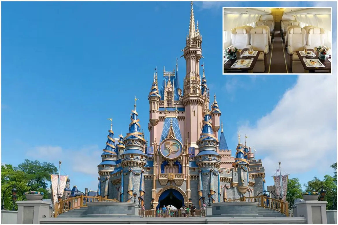 Disney oferă o călătorie cu un avion privat de 110.000 $ în toate parcurile sale din lume