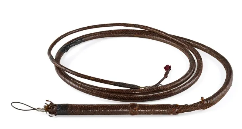 Biciul lui Indiana Jones s-a vândut cu 525.000 de dolari
