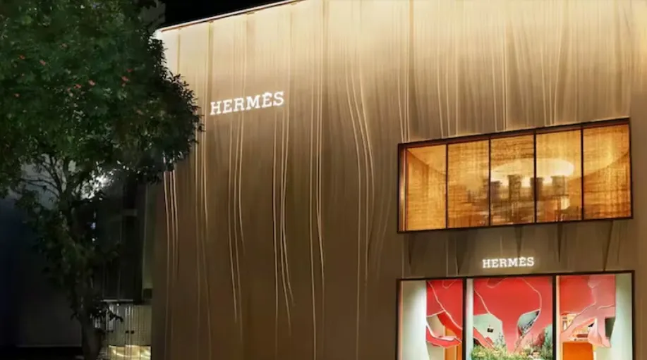Moștenitorul Hermes îl dă în judecată pe proprietarul Louis Vuitton. Care sunt acuzațiile
