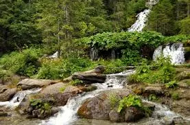 bucegi