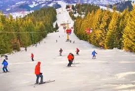 ski