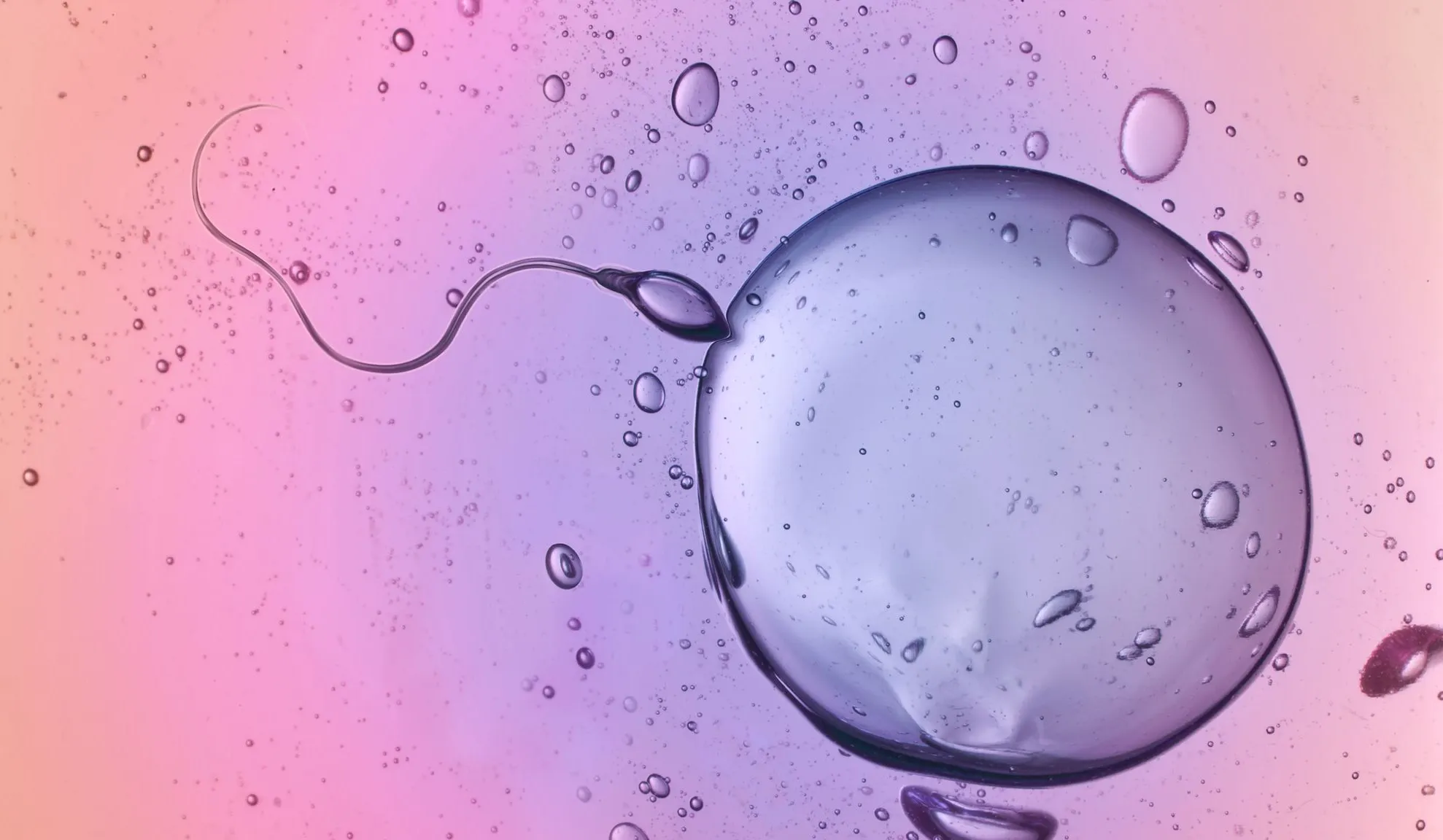 Sperm Positive