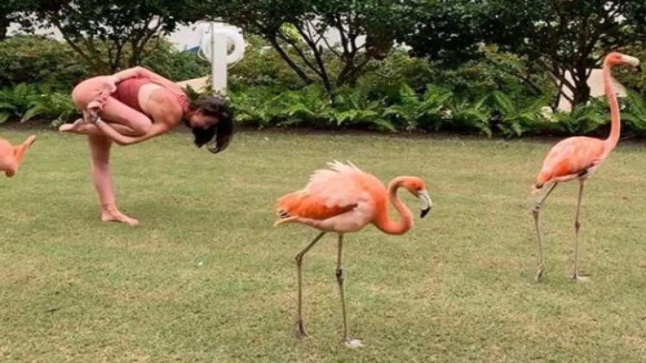 yoga