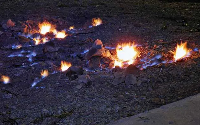 foc