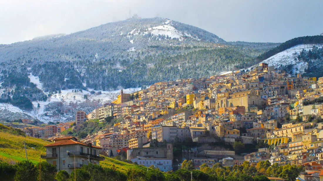 Cammarata
