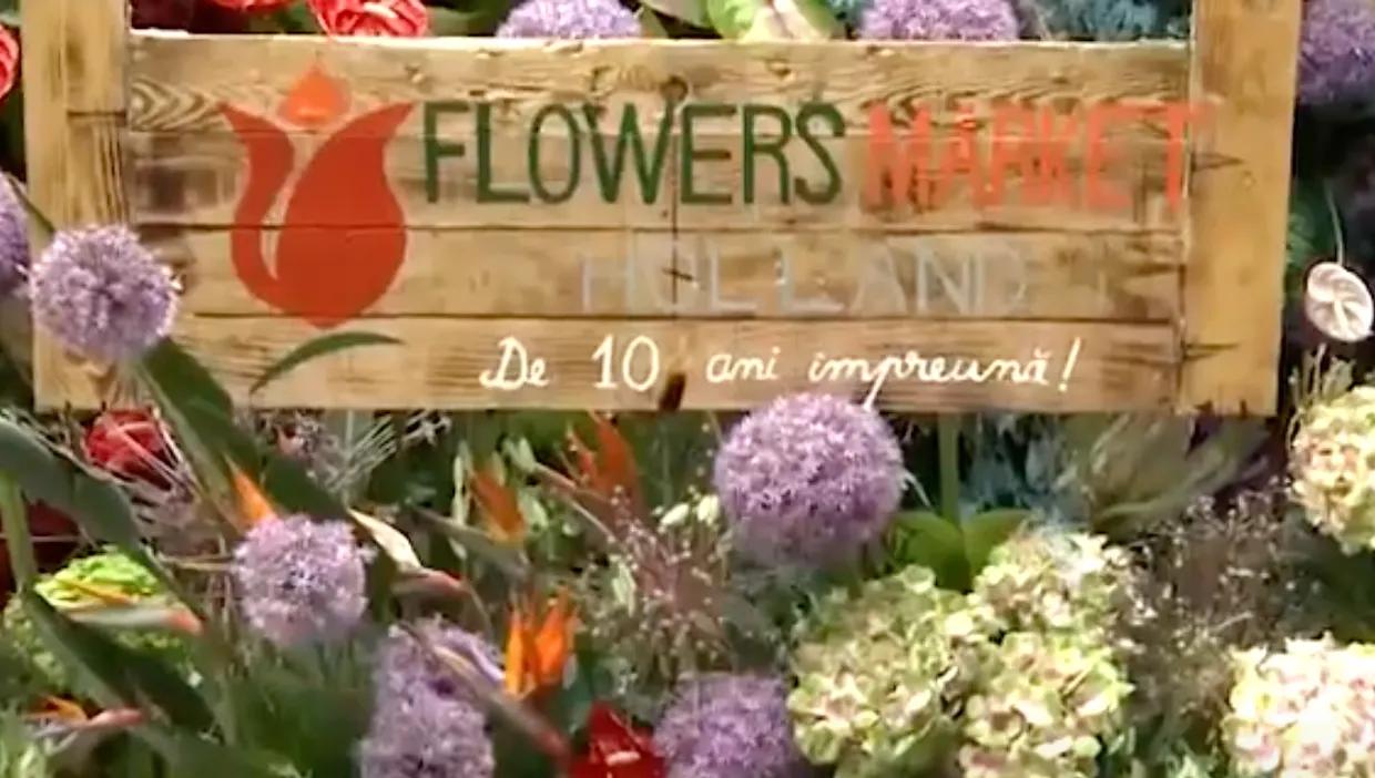 flowers market holland