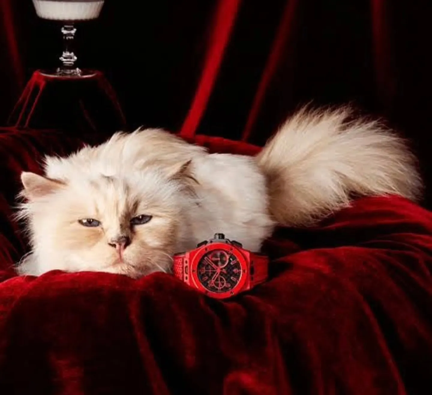 Choupette