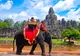 Cea mai cunoscută atracție turistică din Cambodgia a interzis plimbările pe elefant