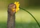 TOP 2019: 10 dintre cele mai bune fotografii senine din întreaga lume