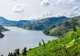 Uganda: De ce să vizitezi „grădina Africii” în 2020