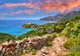 Ponturi pentru o vacanță reușită în Corsica