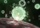 Ghid pentru pacienții vindecați de coronavirus