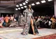 Stockholm Fashion Week se întoarce cu un mesaj pentru modă: sustenabilitatea nu poate aștepta
