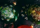Luminarie by Dior aduce magia sărbătorilor în casă