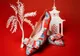 Salvatore Ferragamo sărbătorește Anul Nou Chinezesc cu o colecție specială