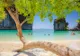 Plajele paradisului se redeschid pentru turiști din 1 noiembrie