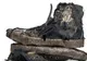 Șocant! Balenciaga vinde pantofi sport distruși. Prețul este exorbitant!