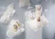 Louis Vuitton Baby este cea mai atemporală colecție a casei de până acum