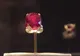 Cel mai mare rubin din lume, scos la licitație de Casa Sotheby's