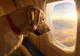 BARK Air, prima companie aeriană din lume dedicată câinilor, a operat primul zbor