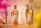 The Macallan și Cirque du Soleil se asociază pentru noi whisky-uri