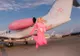 Paris Hilton a primit de ziua ei un avion privat în silul Barbie